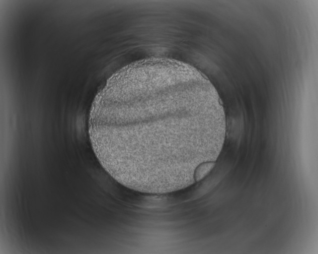 X0000088420238200706191221
