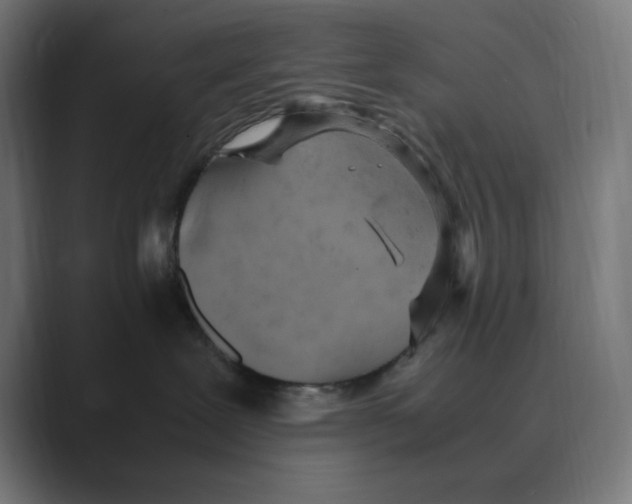 X0000088420239200706191221