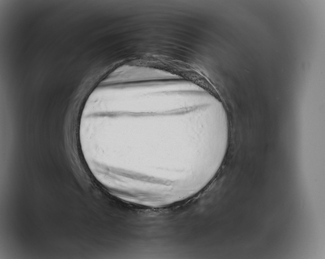 X0000088420241200706191221