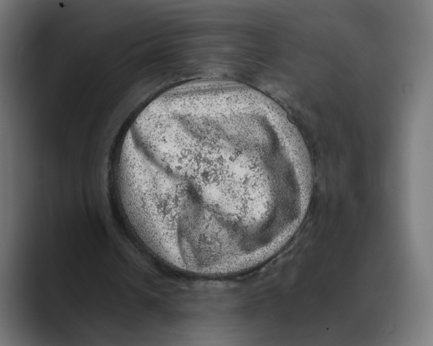 X0000088420242200706191221