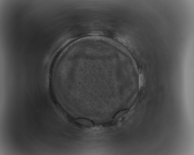 X0000088420243200706191221