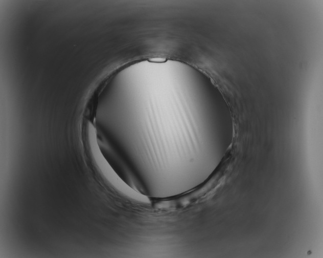 X0000088420244200706191221