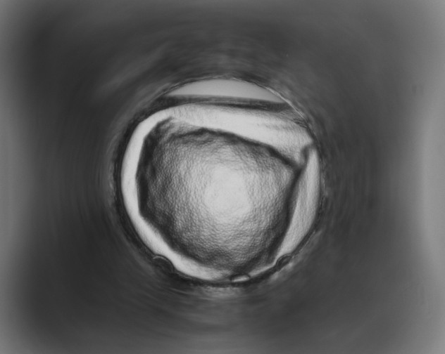 X0000088420245200706191221