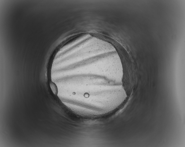 X0000088420246200706191221