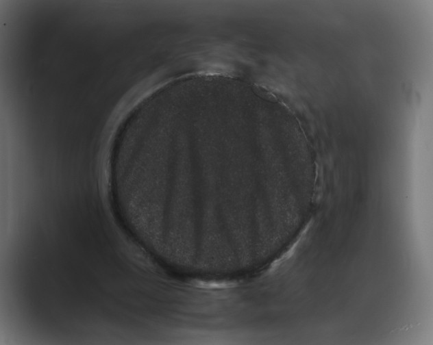 X0000088420247200706191221