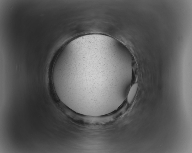 X0000088420248200706191221