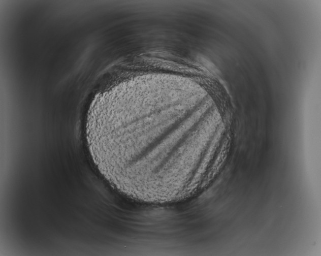 X0000088420249200706191221