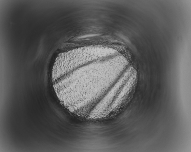 X0000088420250200706191221