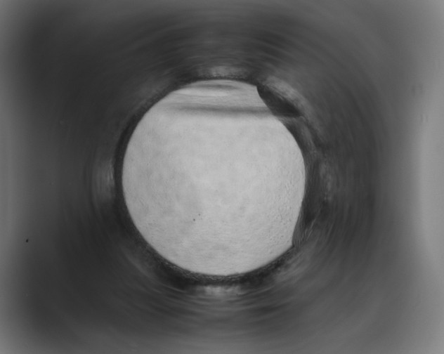 X0000088420251200706191221