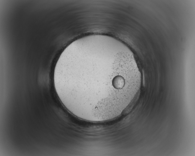 X0000088420252200706191221