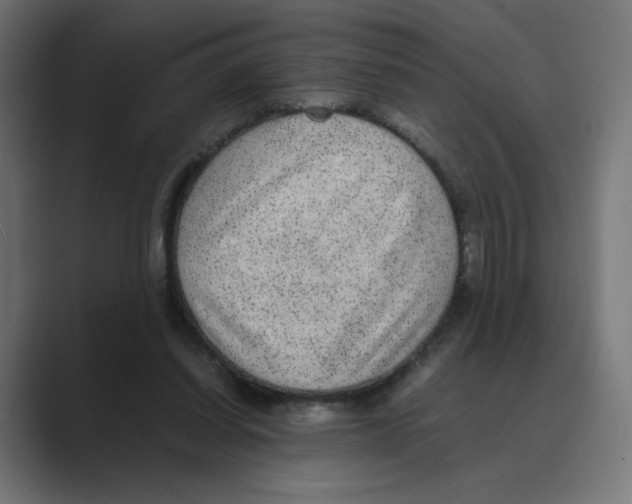 X0000088420254200706191221