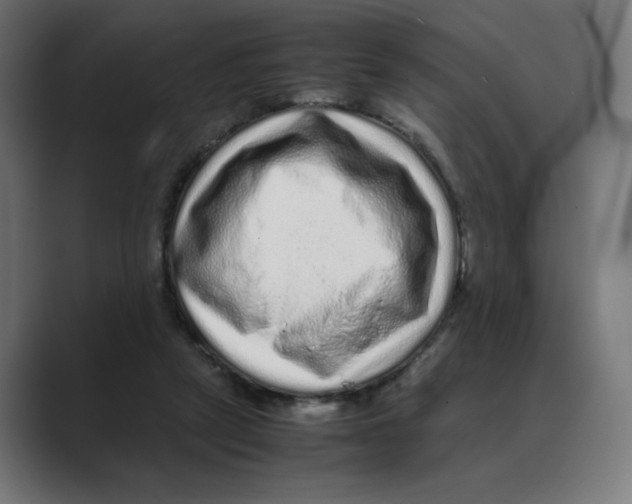 X0000088420257200706191221