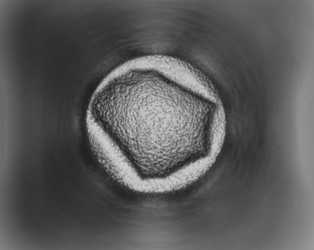 X0000088420258200706191221