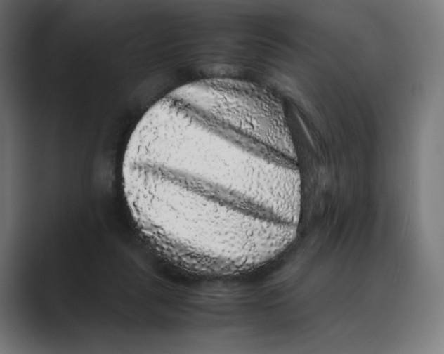 X0000088420259200706191221