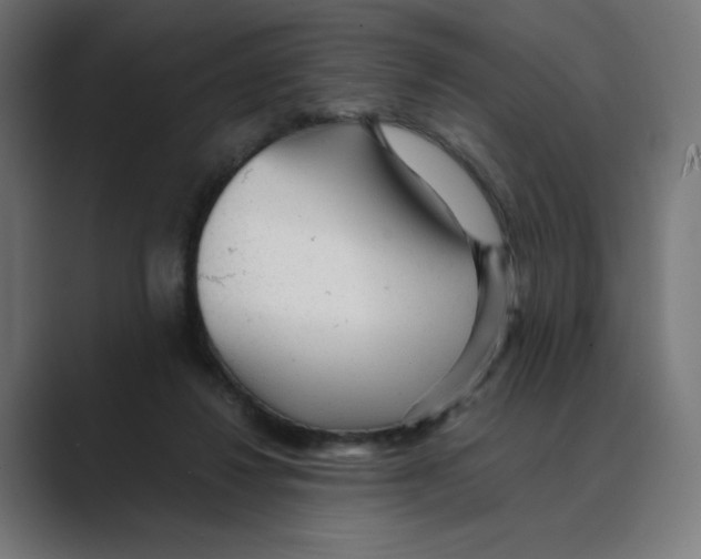 X0000088420260200706191221