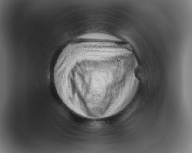 X0000088420261200706191221