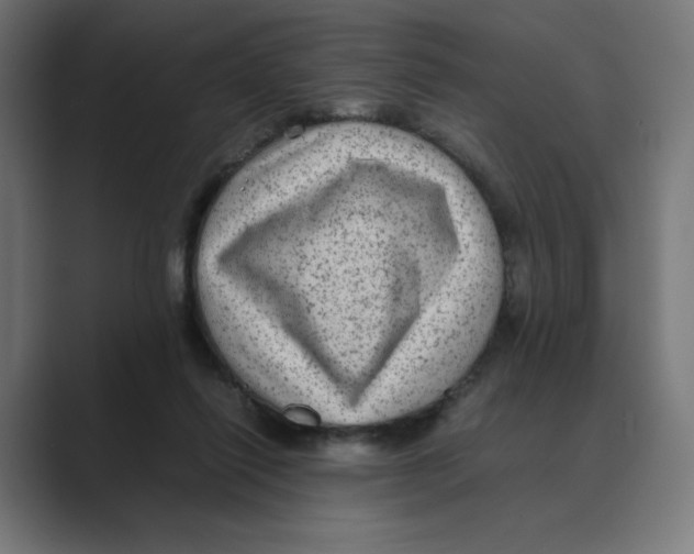 X0000088420262200706191221