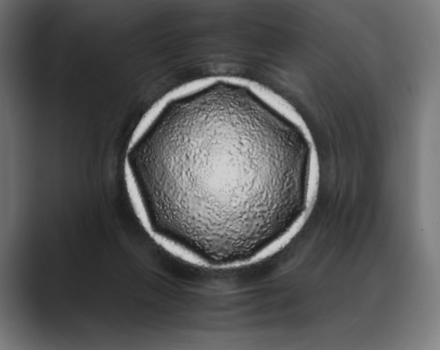 X0000088420263200706191221