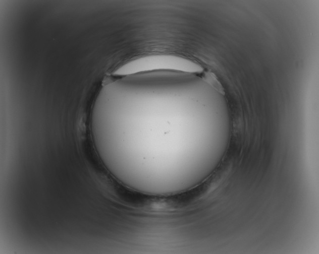 X0000088420264200706191221