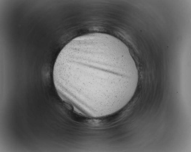 X0000088420265200706191221