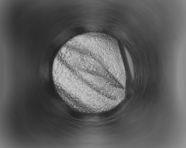 X0000088420266200706191221