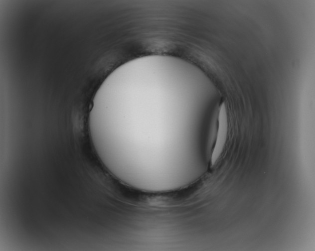 X0000088420268200706191221