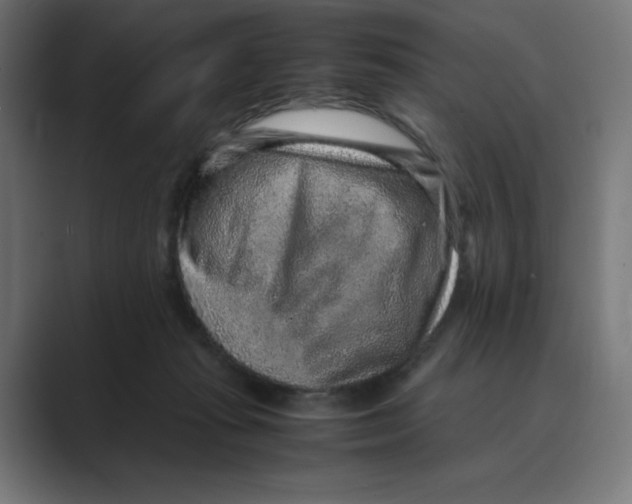 X0000088420269200706191221