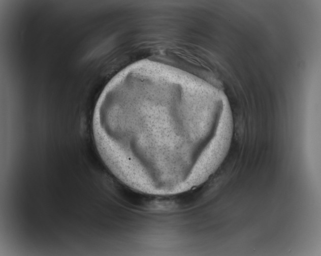 X0000088420270200706191221
