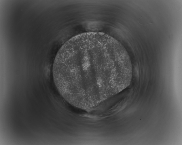X0000088420271200706191221