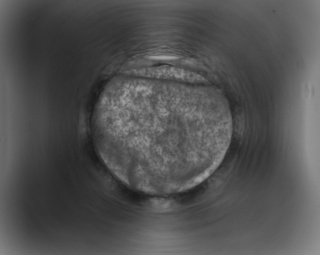 X0000088420272200706191221