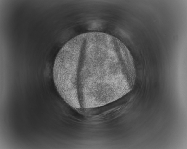 X0000088420273200706191221