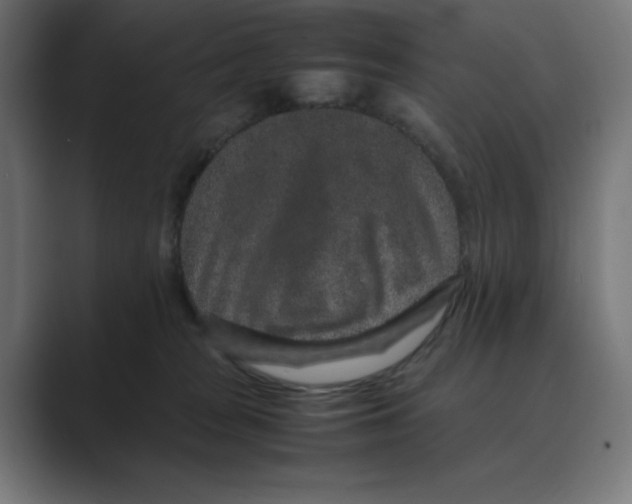 X0000088420277200706191221