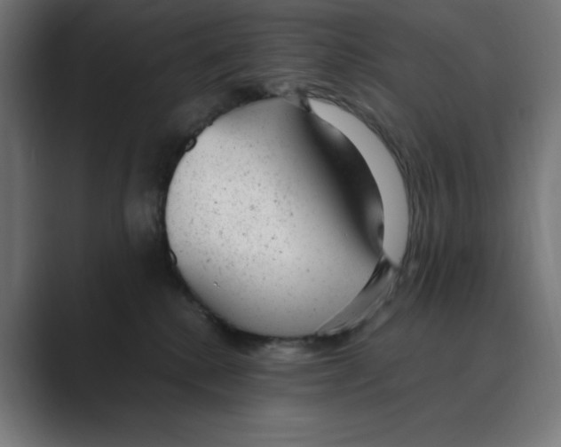 X0000088420280200706191221