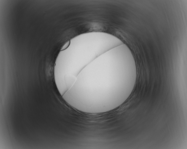 X0000088420281200706191221