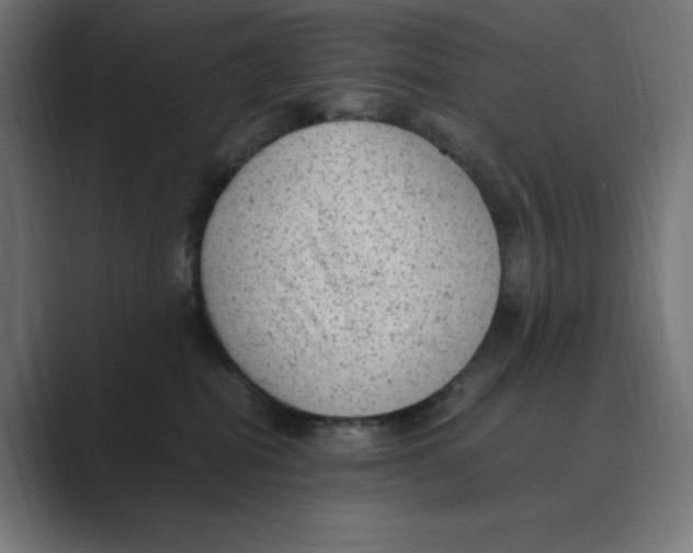 X0000088420282200706191221