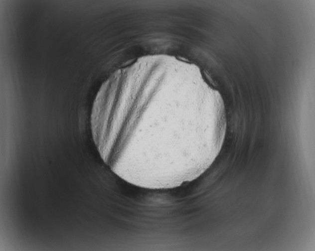 X0000088420283200706191221