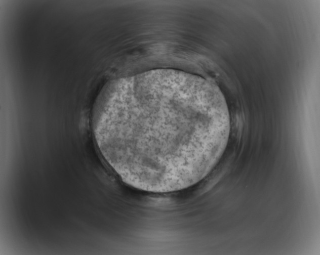 X0000088420284200706191221