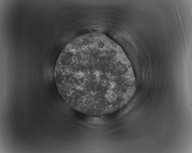 X0000088420285200706191221