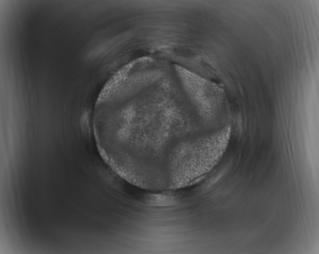 X0000088420286200706191221