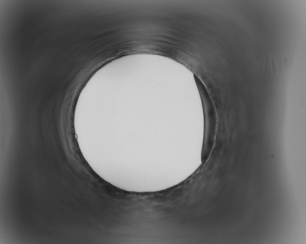 X0000088420289200706191221