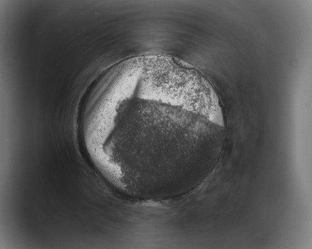 X0000088420290200706191221