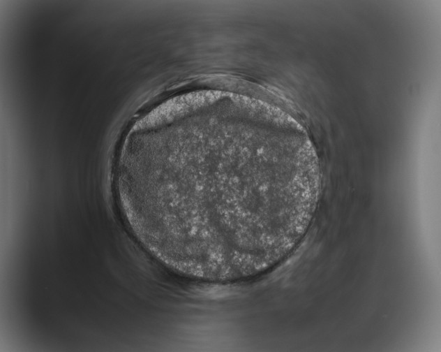 X0000088420293200706191221