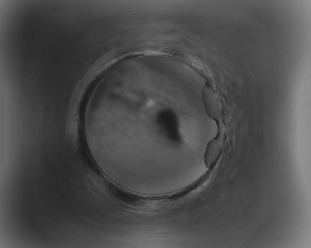 X0000088420295200706191221