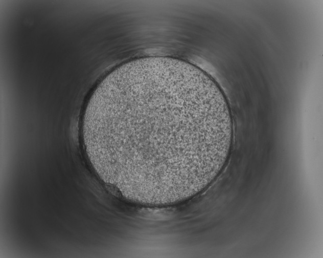 X0000088420297200706191221