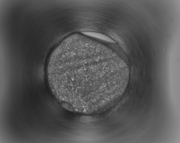X0000088420298200706191221