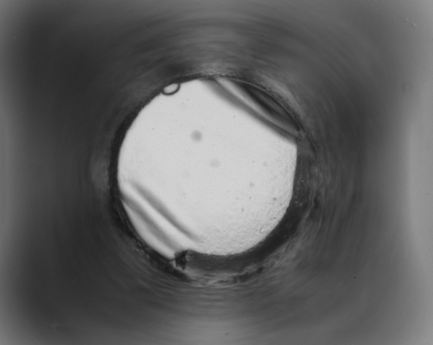 X0000088420299200706191221
