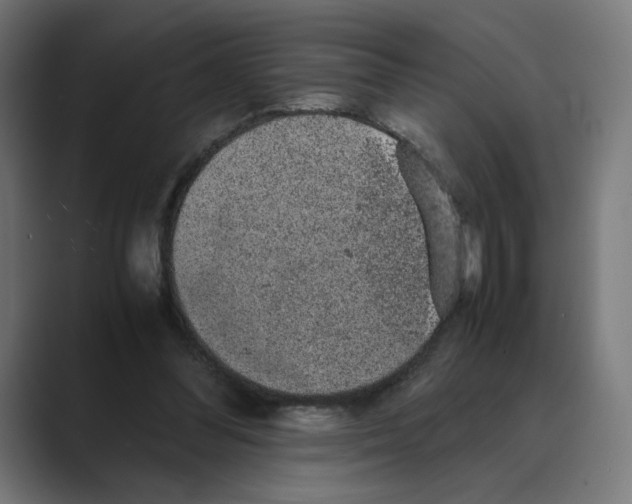X0000088420300200706191221