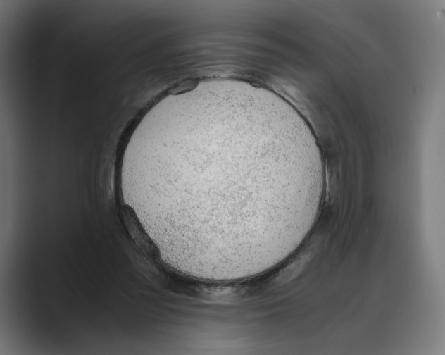 X0000088420301200706191221