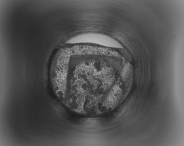 X0000088420303200706191221