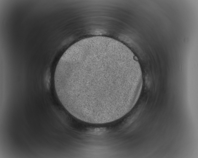 X0000088420304200706191221